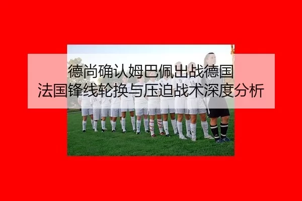 de-shang-que-ren-mu-ba-pei-chu-zhan-de-guo-fa-guo-feng-xian-lun-huan-yu-ya-po-zhan-shu-shen-du-fen-xi-2-123.jpg
